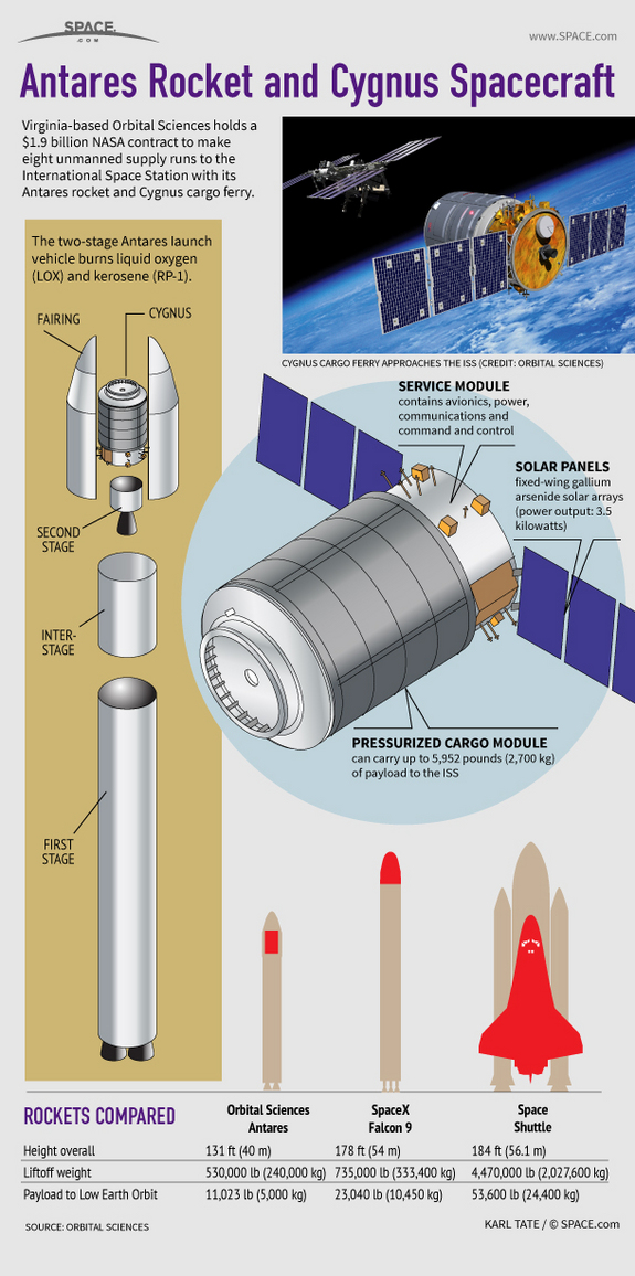 Find out about Orbital Sciences' new Antares rocket and Cygnus cargo ferry spacecraft in this SPACE.com Infographic.