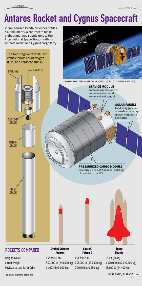 Find out about Orbital Sciences' new Antares rocket and Cygnus cargo ferry spacecraft in this SPACE.com Infographic.