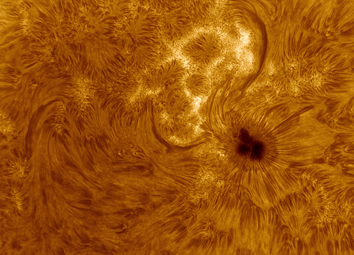 Sunspot AR 1711 Photographed by JP Brahic