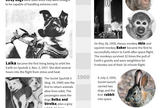 Fruit flies launched in 1947 became the first animals to reach outer space and be recovered alive. <a href="http://www.space.com/20648-animals-in-space-history-infographic.html">See the history of animals in space in this Space.com infographic</a>.