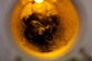 Mice-bion-m1-bios-mlzh-01