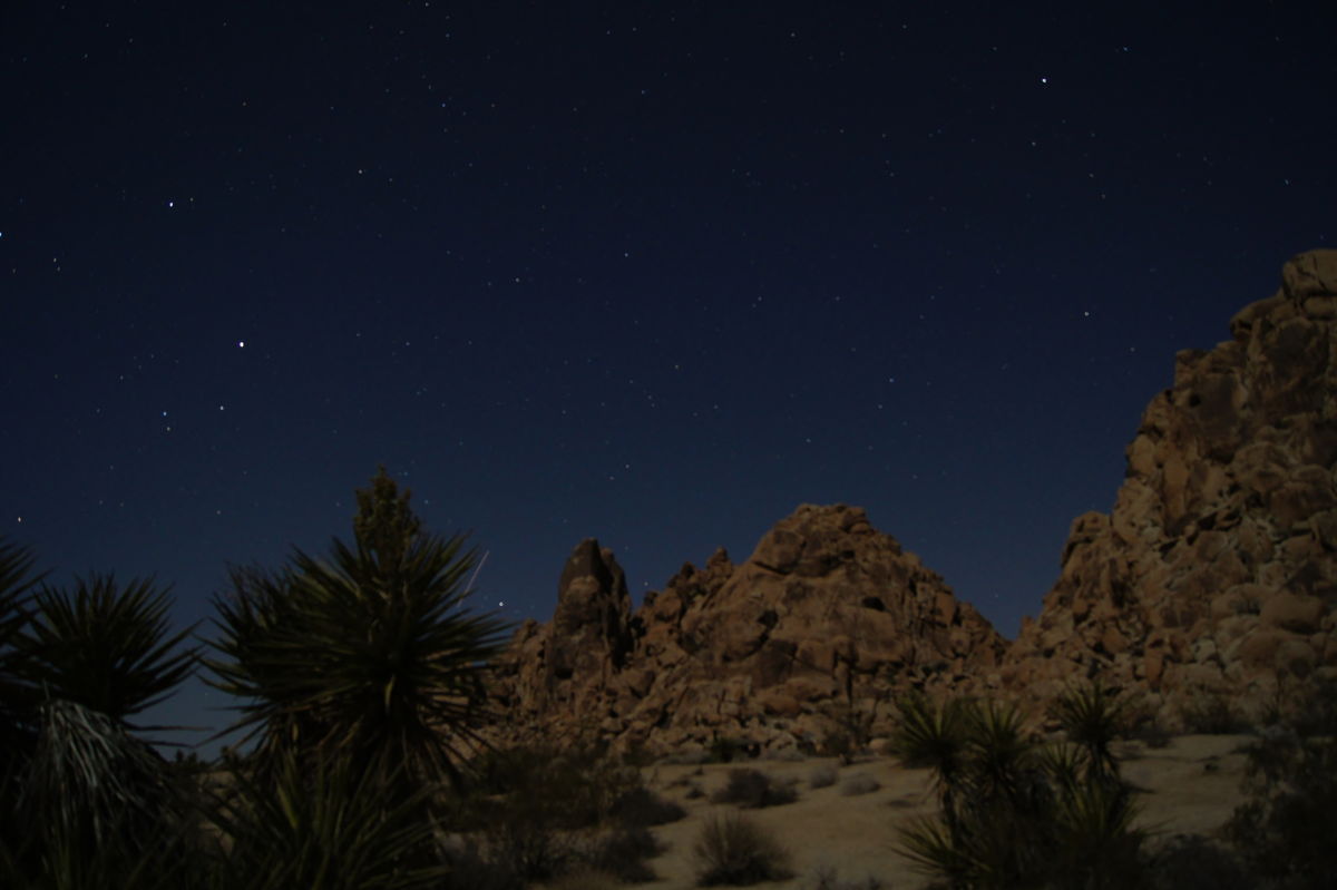 2013 Lyrid Meteor Over Joshua Tree National Park