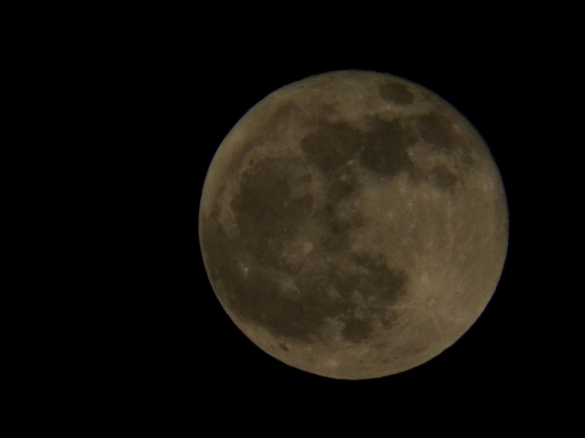 Moon of Alabama