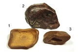 A researcher thinks these three rocks could be meteorites from the Tunguska explosion. Their nicknames are dental crown (1), whale (2) and boat (3).
