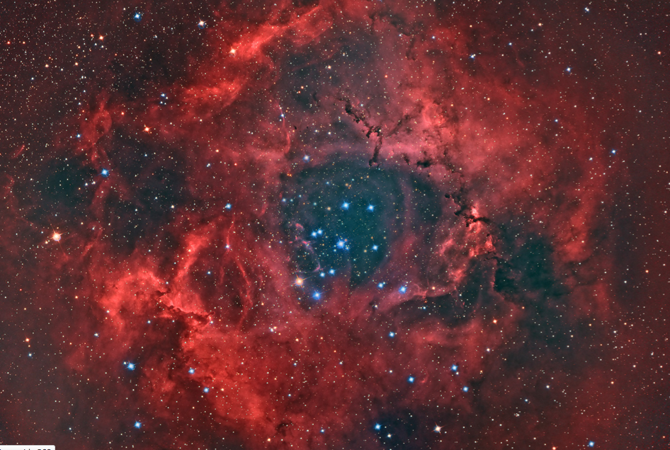 Rosette Nebula Blooms In Amazing Stargazer Photo