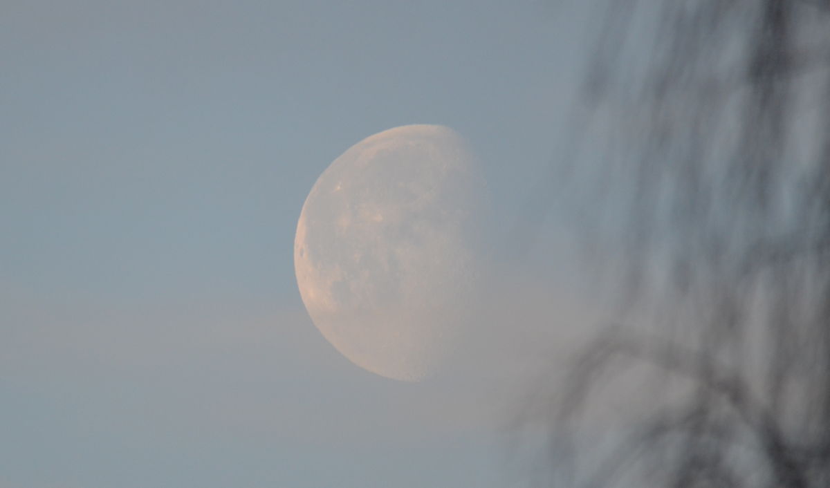 Pale Moon