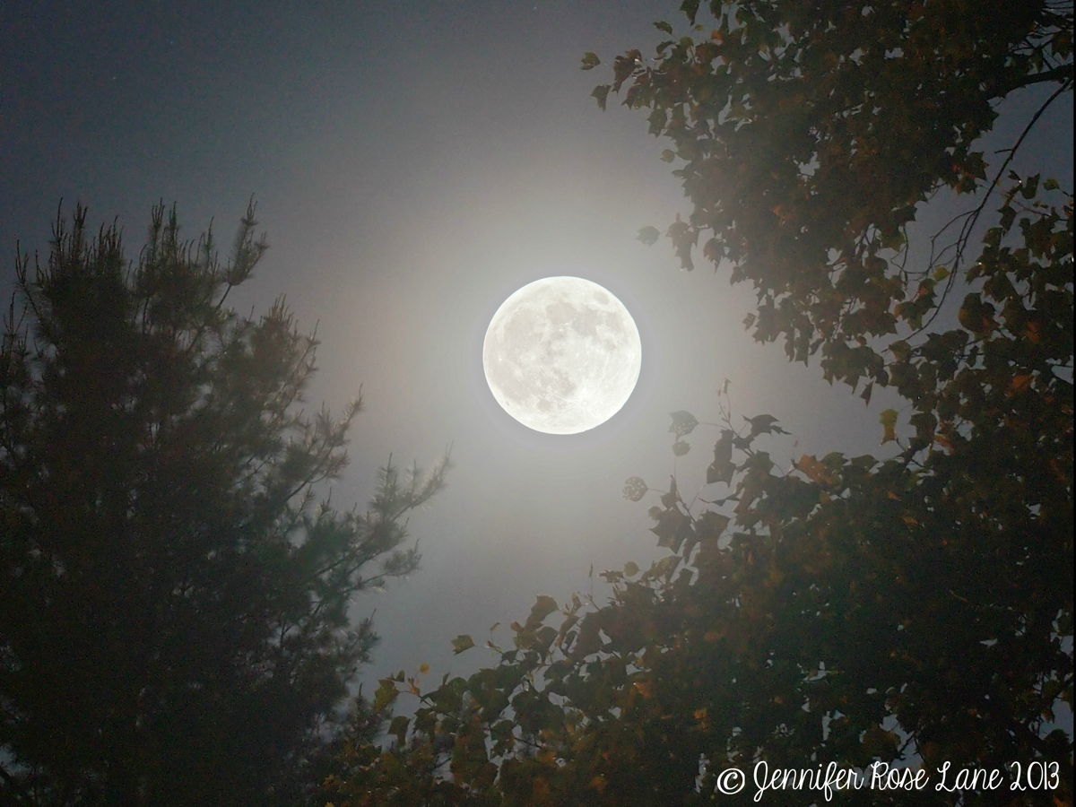 Flower Moon Over West Virginia #2