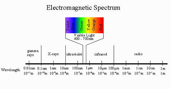 The optical portion of the electromagnetic spectrum visible to our eyes runs from approximately 400 nanometers to 700 nanometers in photon wavelength. Some bacteria can make use of long-wavelength, lower-energy light in the infrared portion of the spectrum.