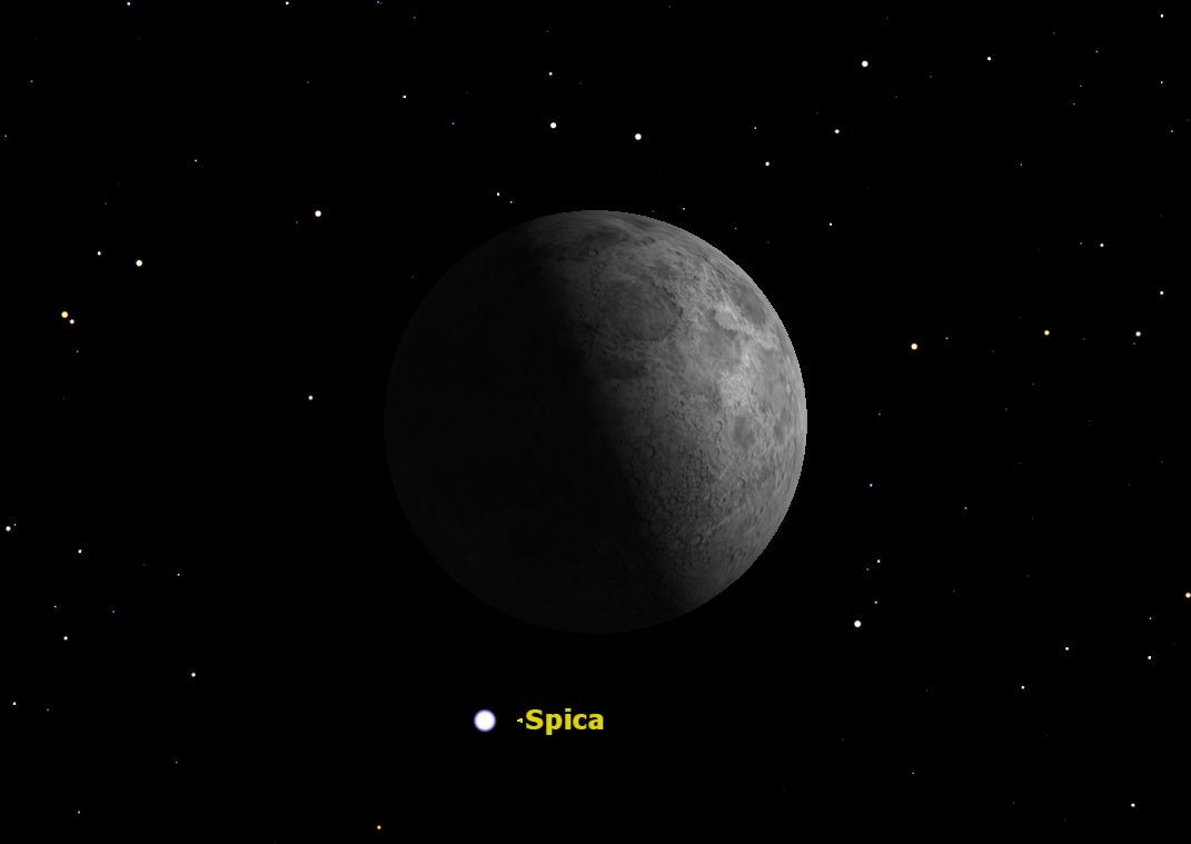 First Quarter Moon, July 2013