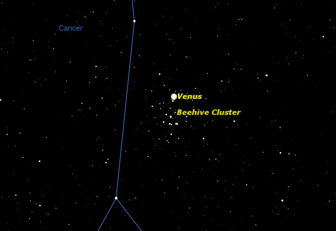 Venus in the Beehive, July 2013