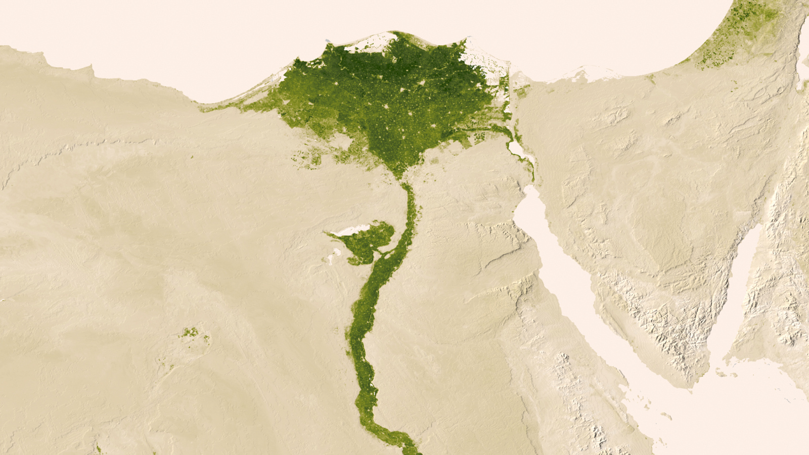 Herbal Earth: Nile Delta