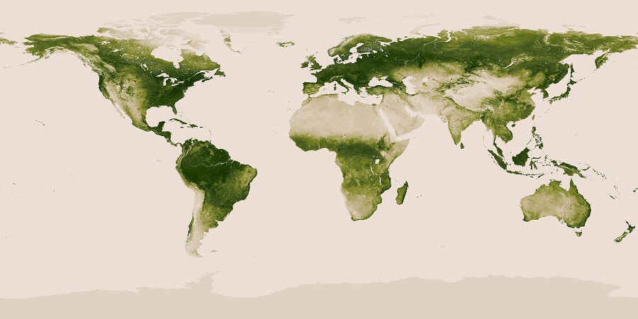 Earth Vegetation