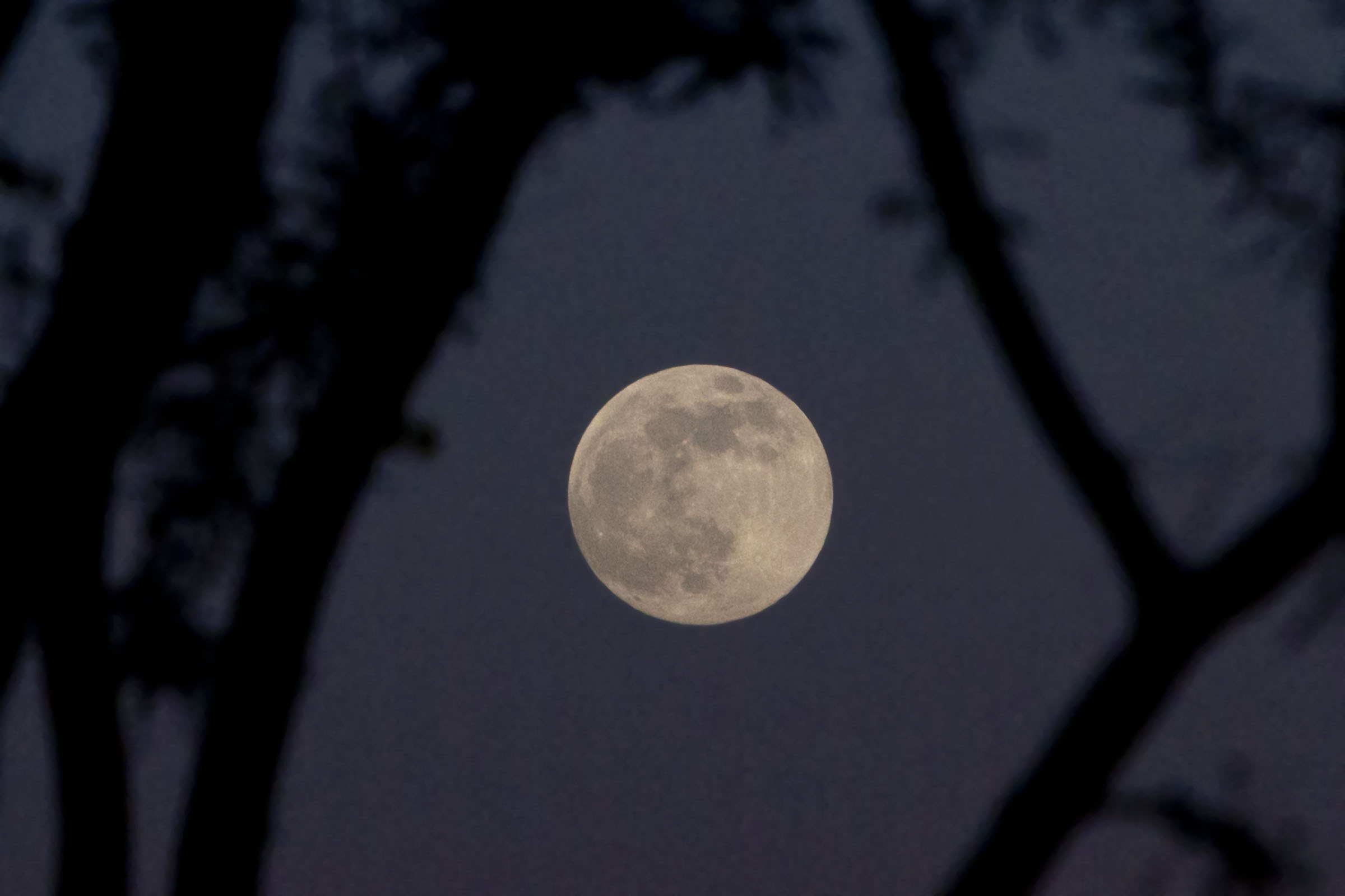 ‘Almost’ Supermoon Over Arizona