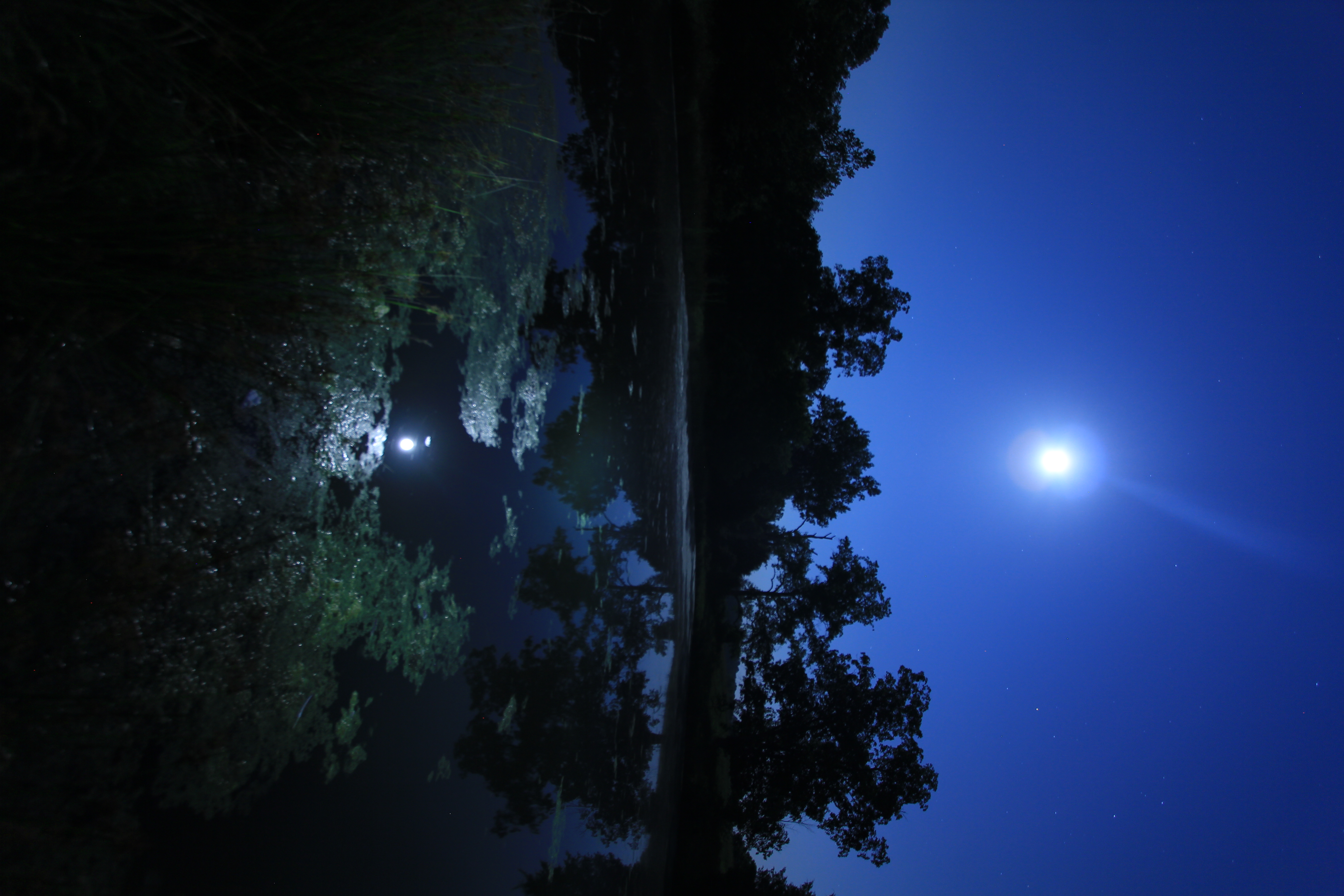 Reflection of the Supermoon