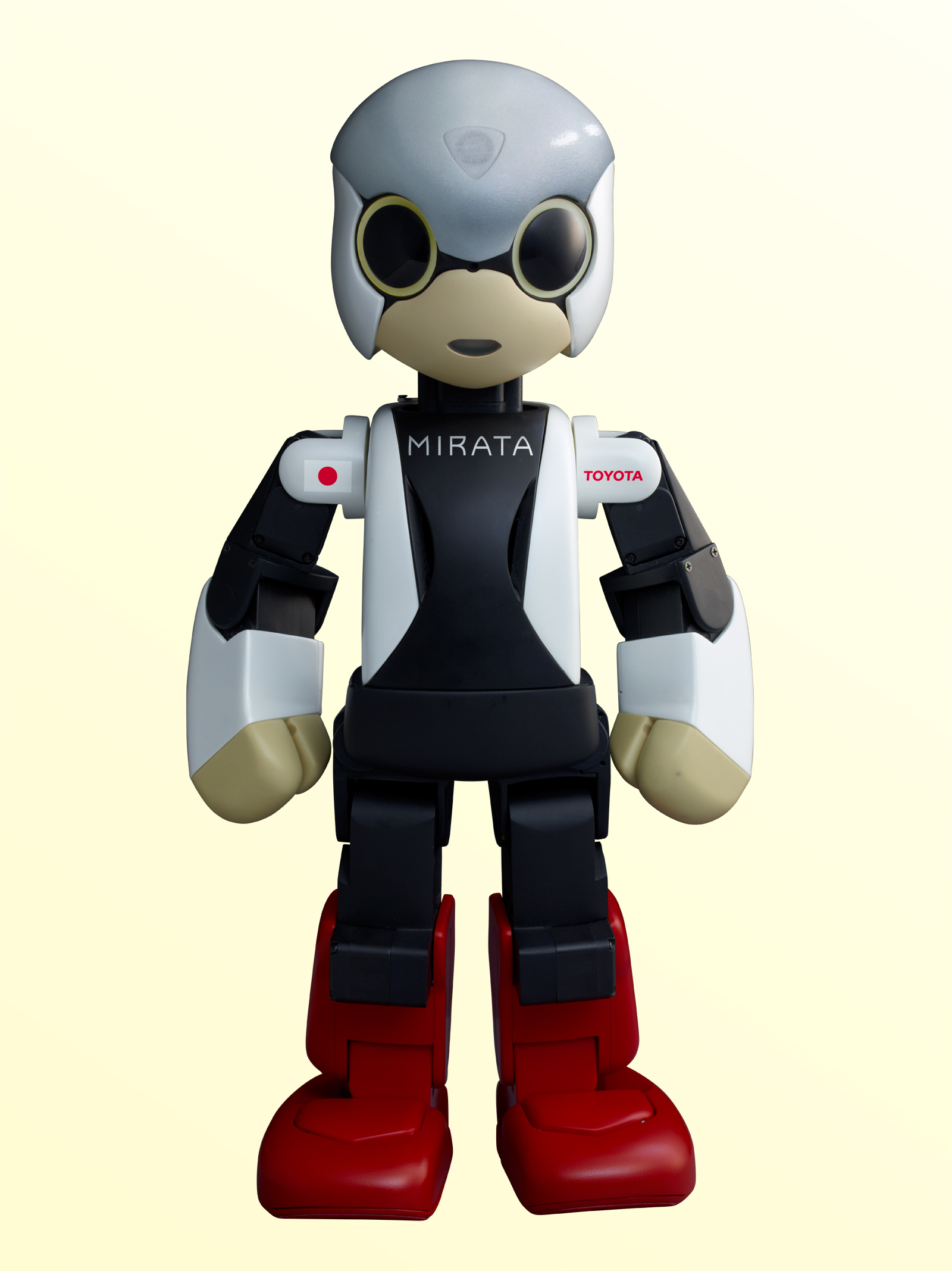 Mirata, Speaking Earth Robot