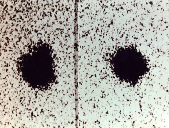 Charon is visible as a “bump” moving around Pluto in the moon’s discovery images, taken with the 1.55-meter (61-inch) Kaj Strand Astrometric Reflector at the U.S. Naval Observatory’s Flagstaff Station in 1978.