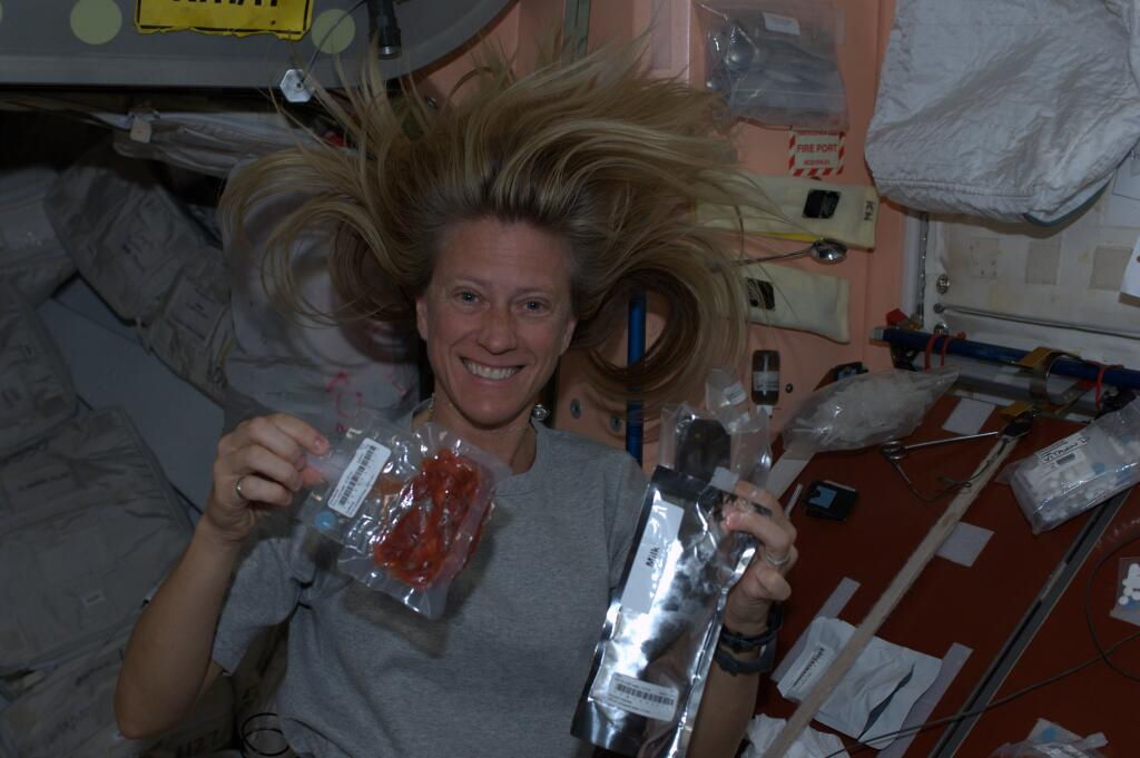 Astronaut Nyberg's International Space Station Dessert