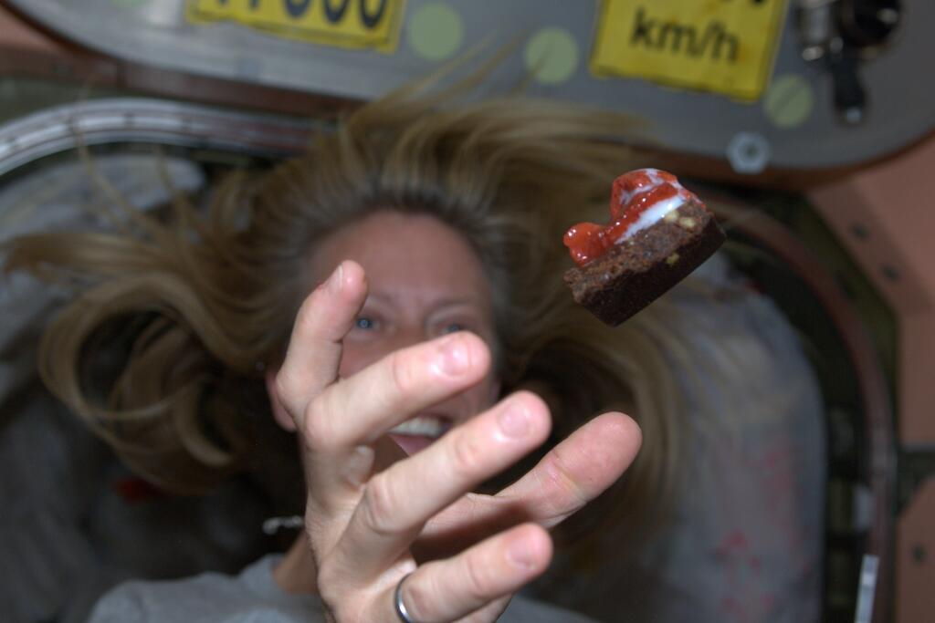 Astronaut's Dessert