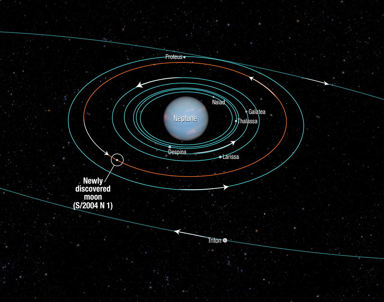 Neptune's Moons: 14 Discovered So Far