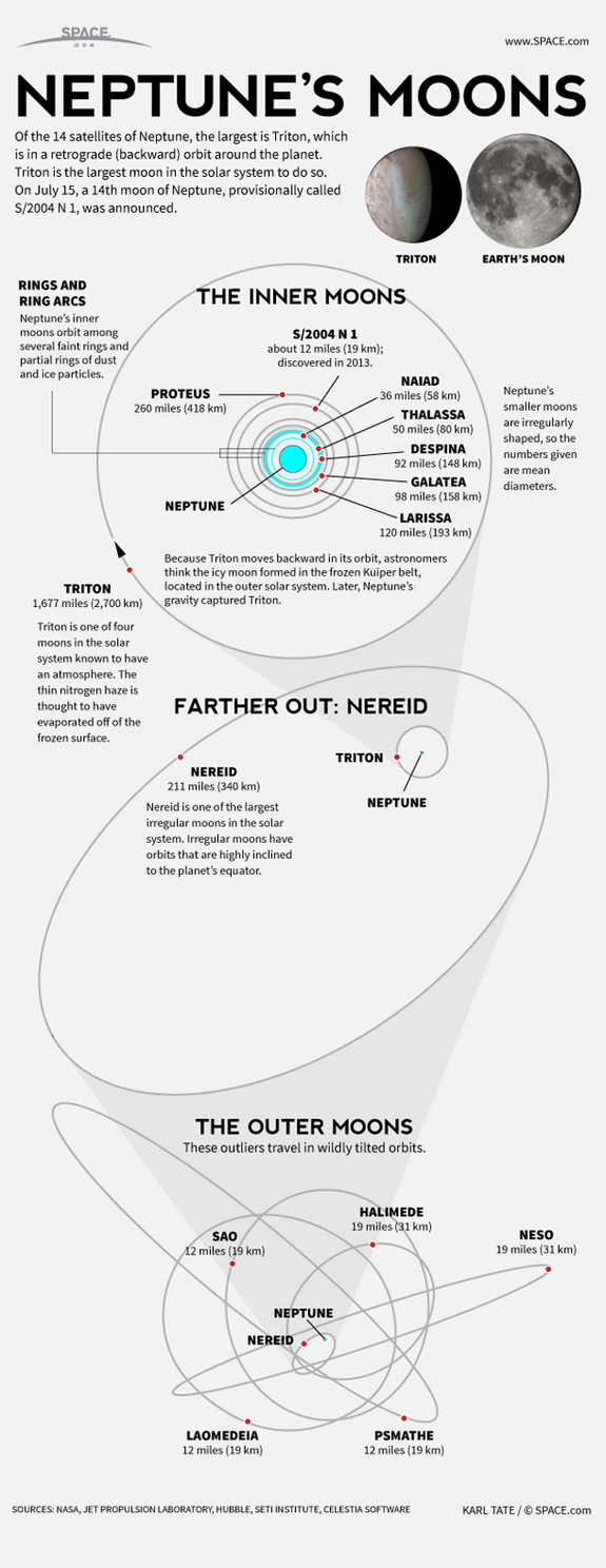 Fourteen moons orbit Neptune, including backwards-orbiting Triton. <a href="http://www.space.com/21977-neptune-moons-planet-facts-infographic.html">See surprising facts about Neptune's moons in this SPACE.com infographic</a>.