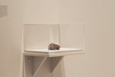 A piece of a 4.5-billion-year-old meteorite used in an art installation might be sent back into space in 2014. Image uploaded July 22, 2013.