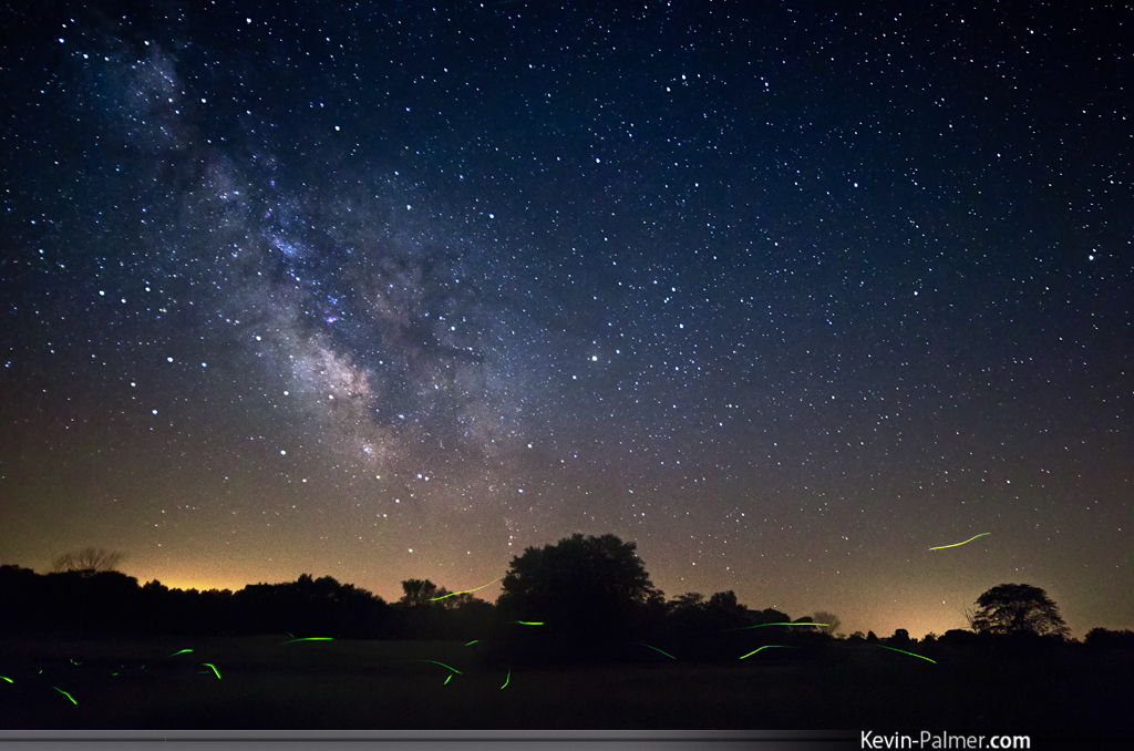 Night Sky and Fireflies