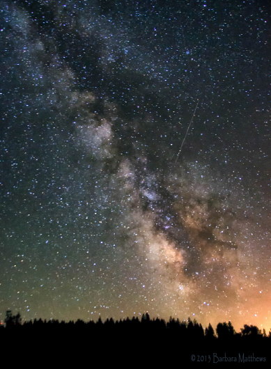'Wish Upon a Falling Star' by Barbara Matthews
