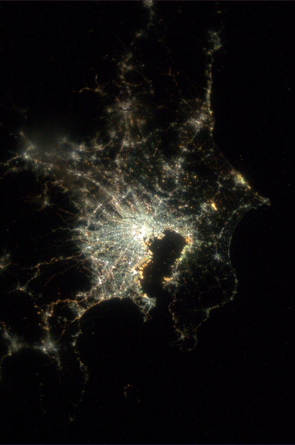 Bright Lights of Tokyo