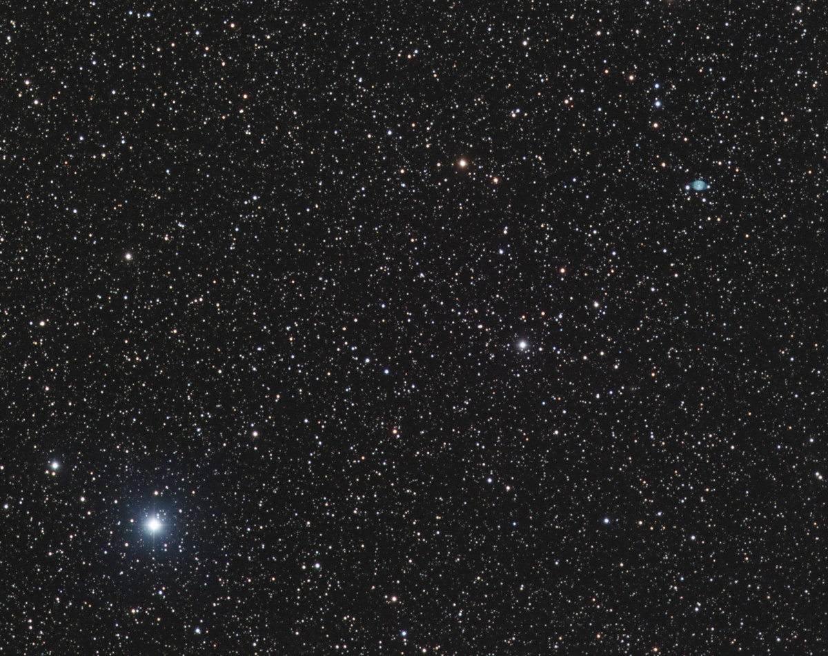 Nova Delphinus 2013 Seen in The Netherlands