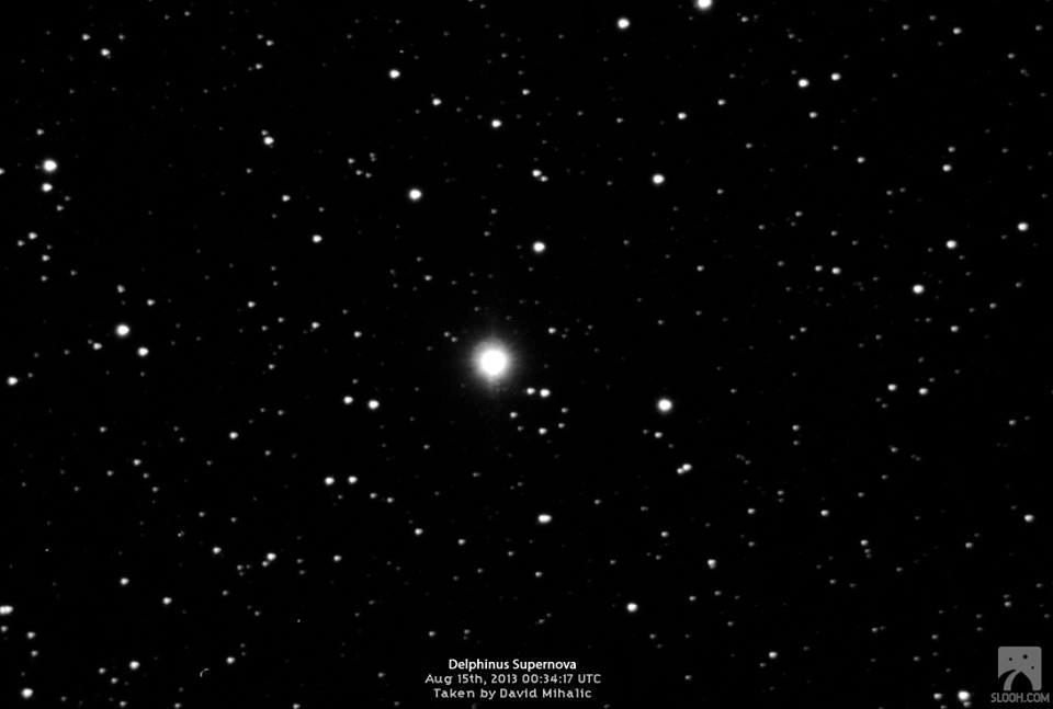 Nova Delphinus 2013 Imaged by Mihalic #4