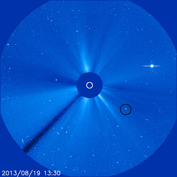 The Solar and Heliospheric Observatory spacecraft captured this view of a small comet (circled) zooming toward the sun on Aug. 19, 2013.