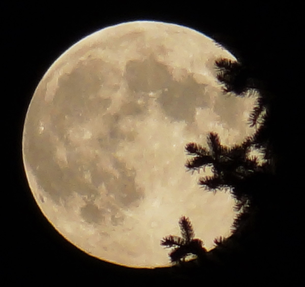 Blue Moon of August 2013 Photographed by Debbie Hughes