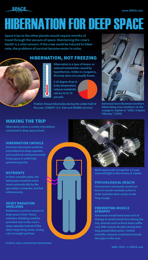 Scientists are hoping to induce an unconscious state in astronauts so that they can be stored in cold capsules for long space flights. <a href="http://www.space.com/22526-astronaut-hibernation-space-travel-infographic.html">See how astronaut hibernation could work in this Space.com infographic</a>.