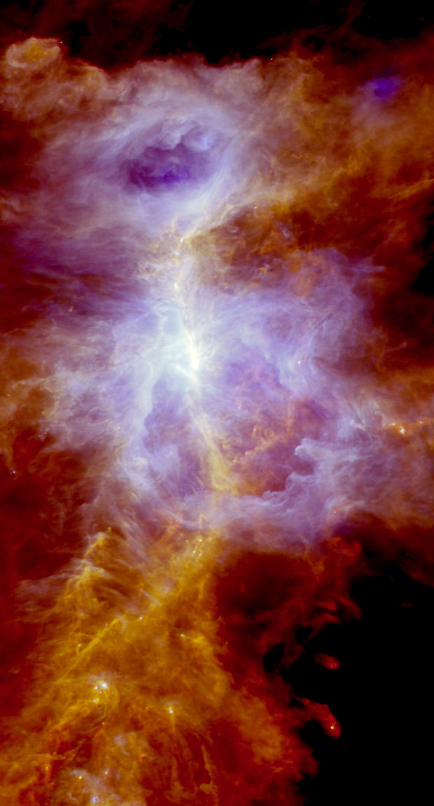 New Stars Are Born