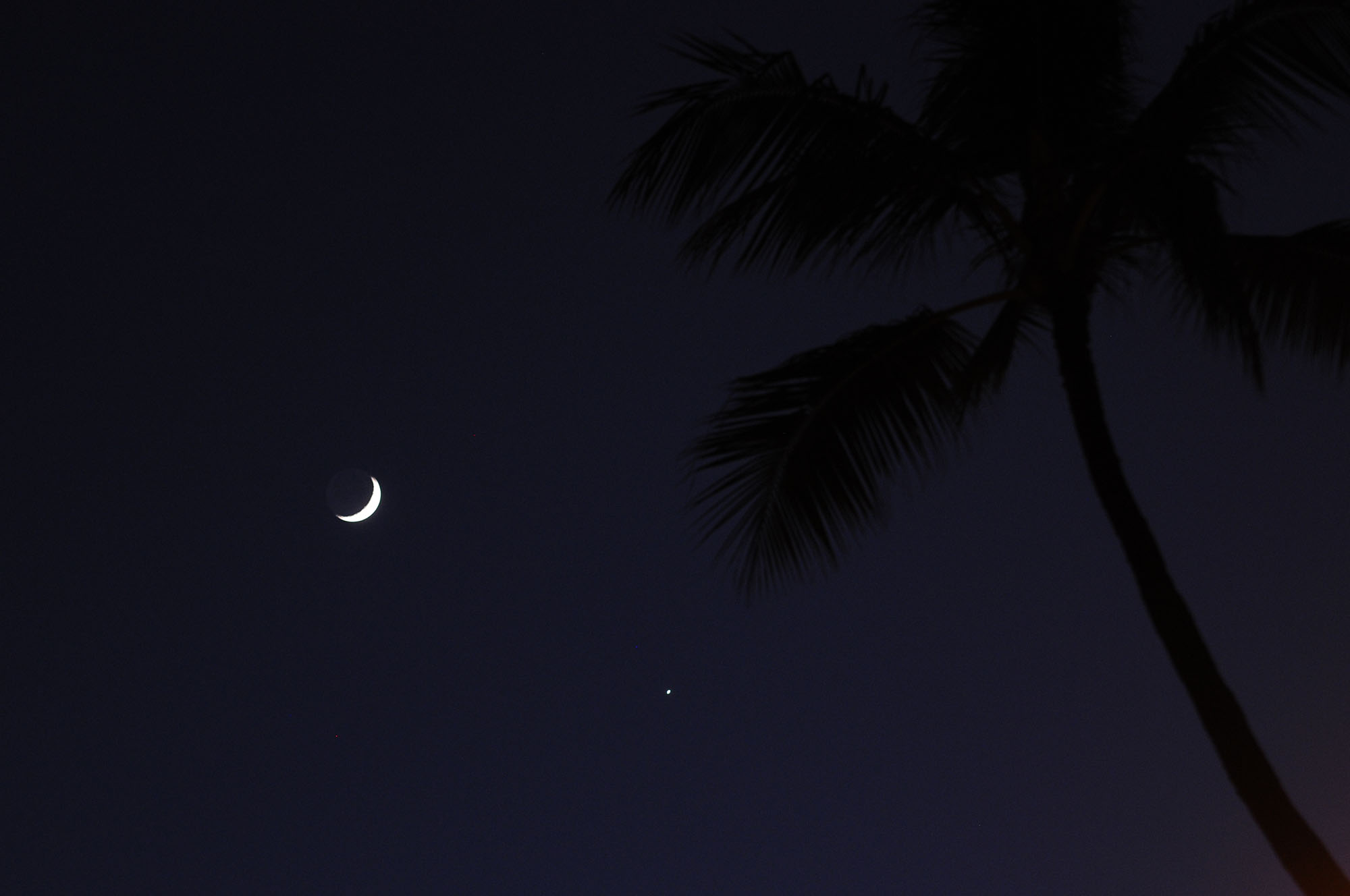 Aloha, Venus and Moon: Dazzling View by Wayne S.