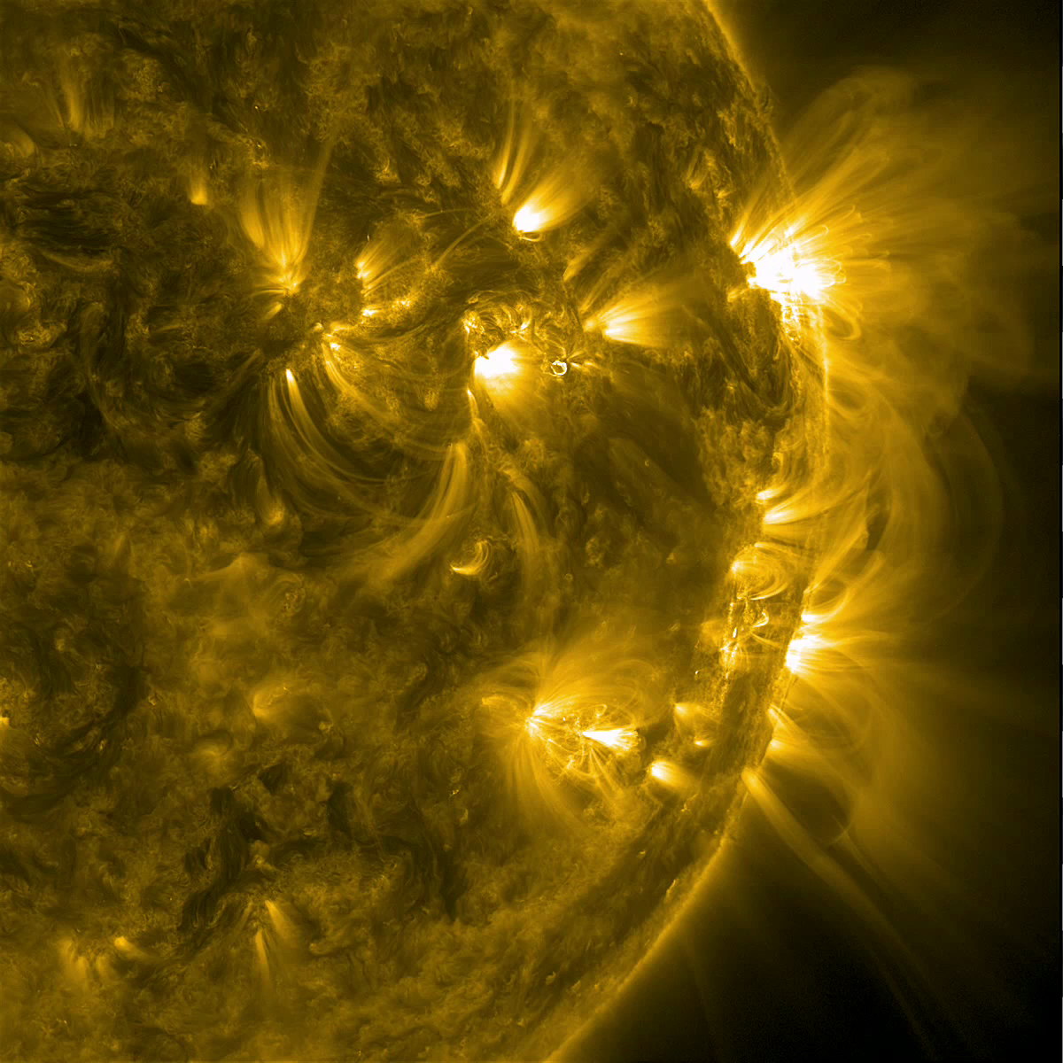 Magnetic Fields