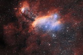 The glowing jumble of gas clouds visible in this new image make up a huge stellar nursery nicknamed the Prawn Nebula. Image released Sept. 18, 2013.