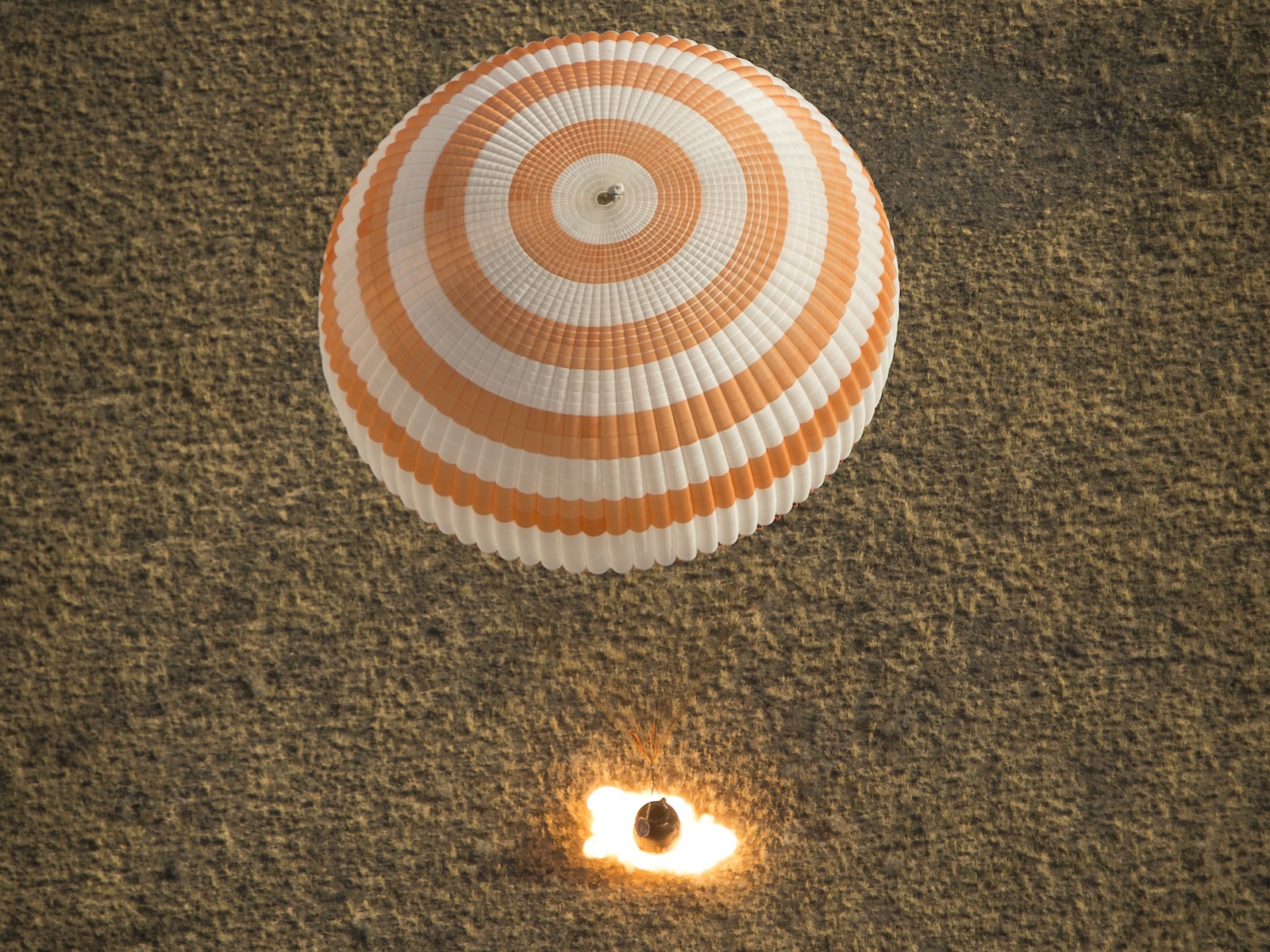 Soyuz Lands With Expedition 36 Crew 1600
