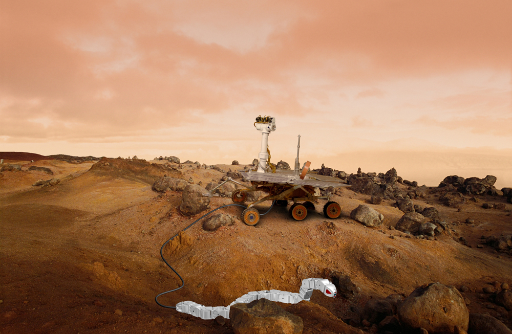 Slithering Snake Robots on Mars Could Aid Future Rovers