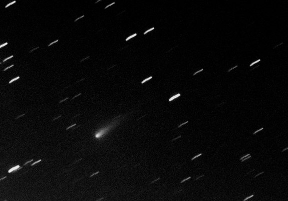 UK astronomer Pete Lawrence took this image of Comet ISON in the early hours of Sept. 15, 2013, using a Vixen FL-102S 10 cm APO telescope and a Starlight Express SXV-H9 CCD camera. The camera was exposed for a total time of 40 minutes, comprising 10 x 120 s exposures and 4 x 300 s exposures, with the images stacked together to produce the final result. The streaks in the background are star trails, the apparent motion of stars in the night sky due to the rotation of Earth. North is in the direction of a line drawn from the comet's head towards the upper-left corner of the image.