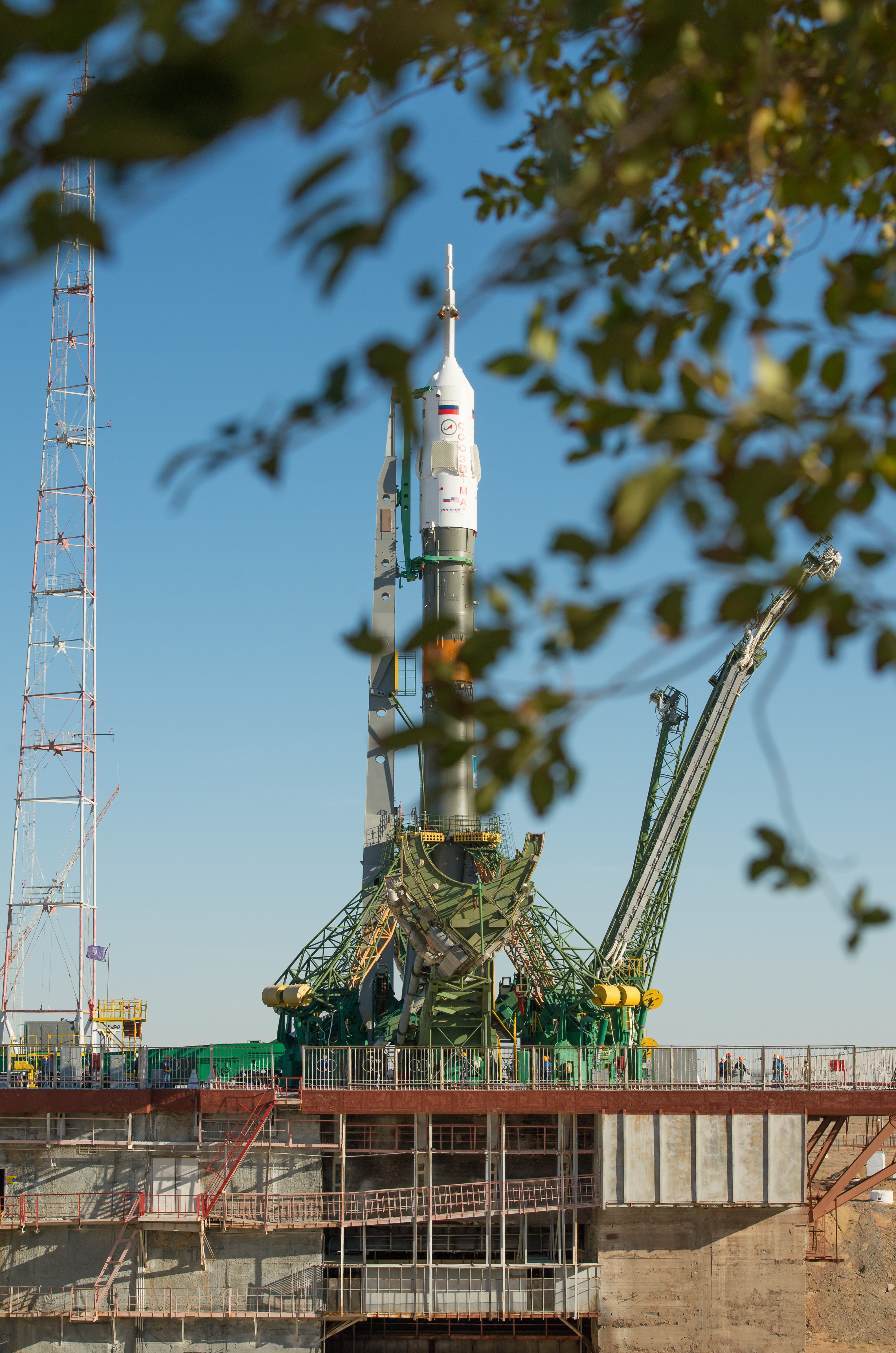 Expedition 37: Soyuz Rocket Seen Through the Branches
