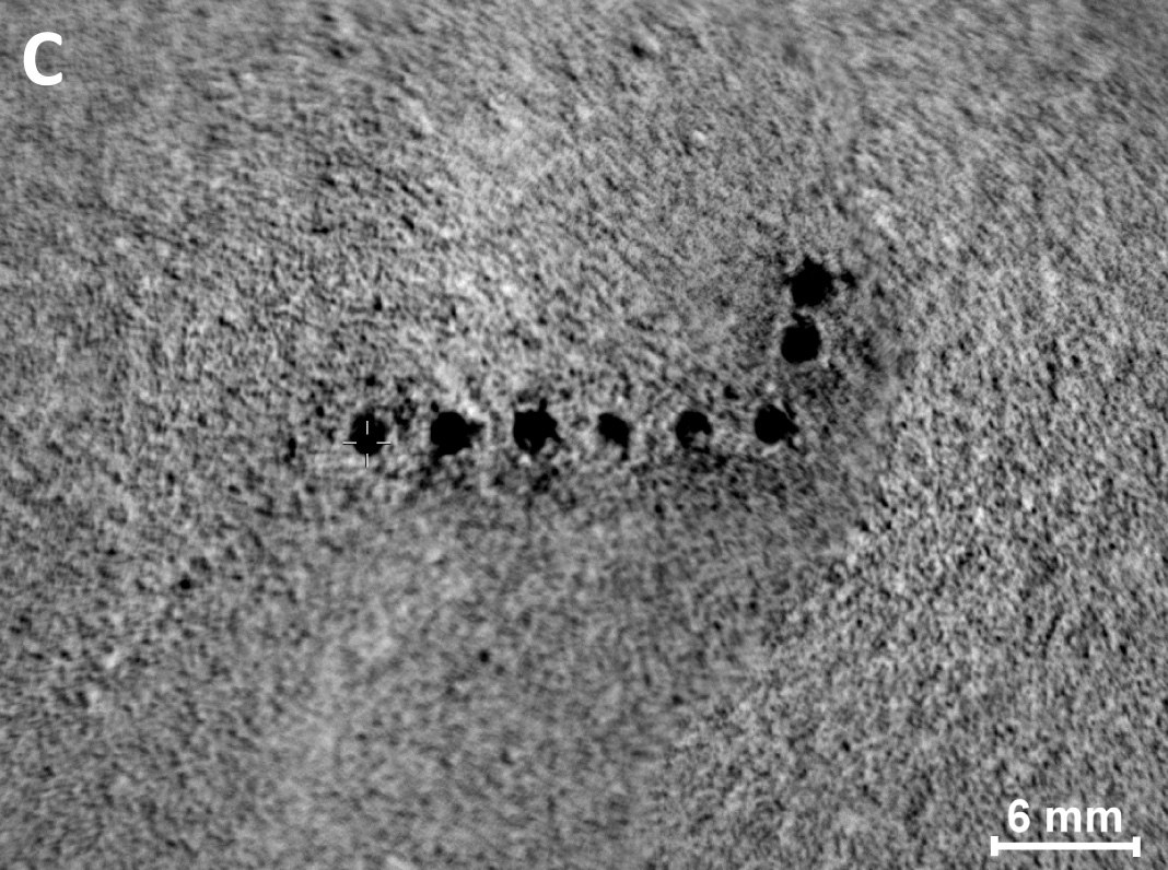Microscopic View of Martian Soil Targets