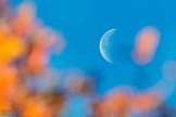 Astrophotographer Göran Strand sent in a photograph of the moon in Sweden seen between tree branches. Image submitted Sept. 29, 2013.