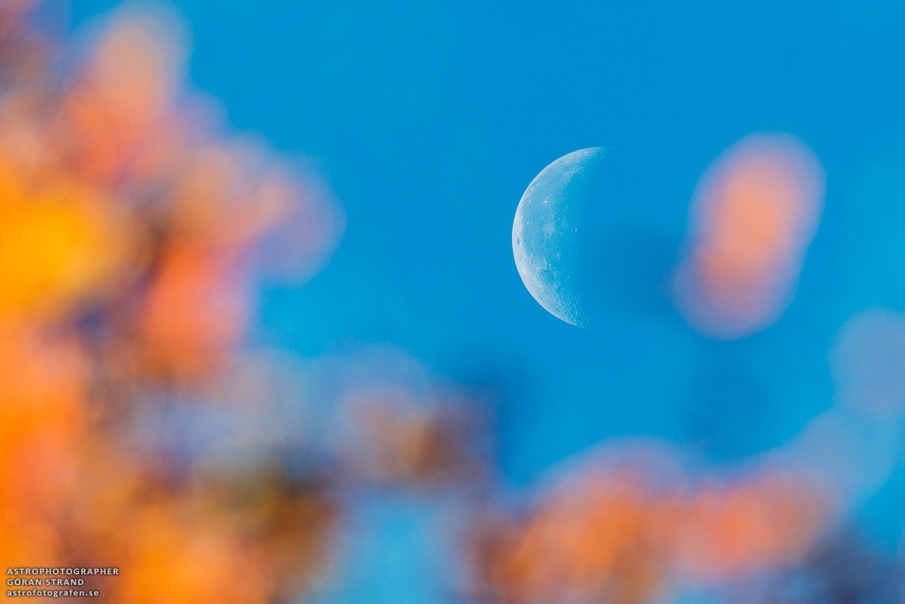 The Autumn Moon Lights My Way