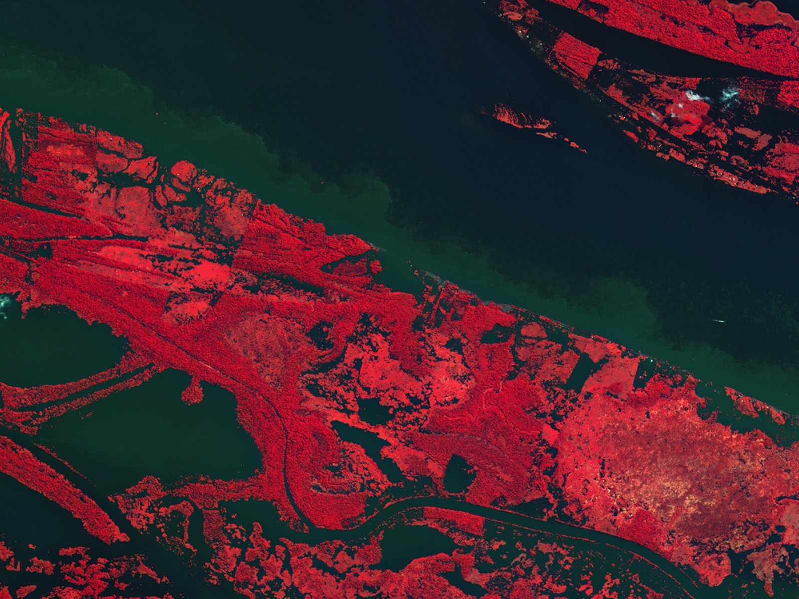 Kompsat-2 View of Amazon River