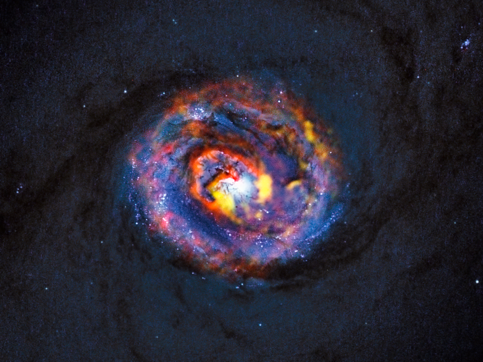 Galaxy NGC 1433 Composite View