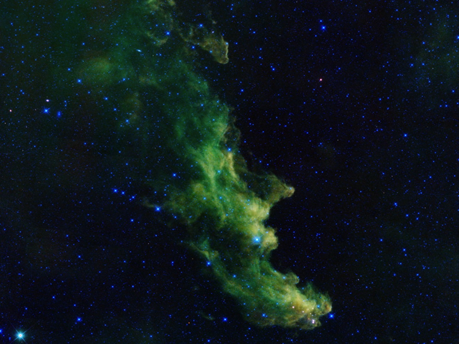 Witch Head Nebula