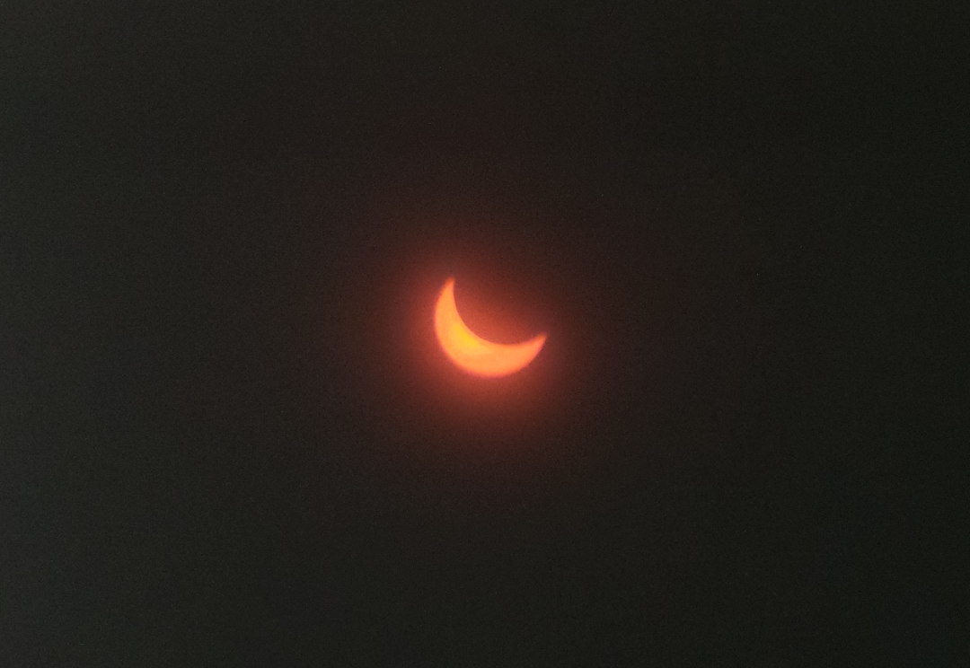 Hybrid Solar Eclipse of Nov. 3, 2013, Seen in the Serengeti