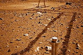 Tracks in the Martian soil made by the Spirit rover.