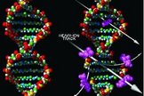 This is an illustration of damage to DNA from exposure to radiation.
